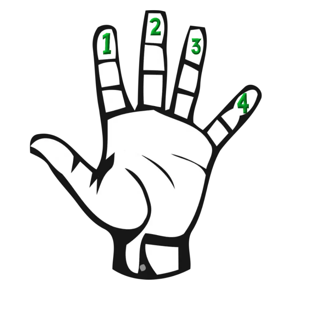 Your index is considered finger 1, middle is finger 2, ring is finger 3 and pinky being finger 4 on your fretting hand. 